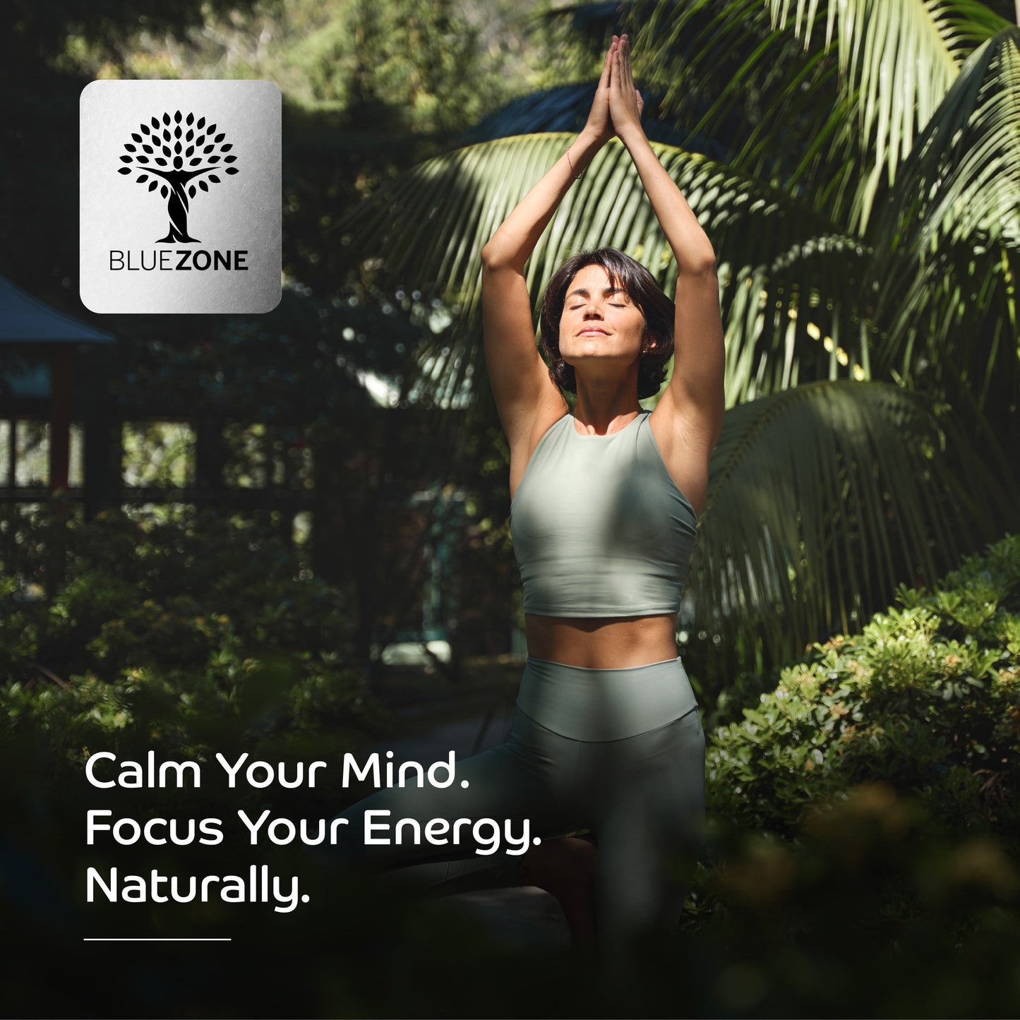 Ashwagandha 12500mg per capsule, That Calms Your Mind. Focuses Your Energy. Naturally