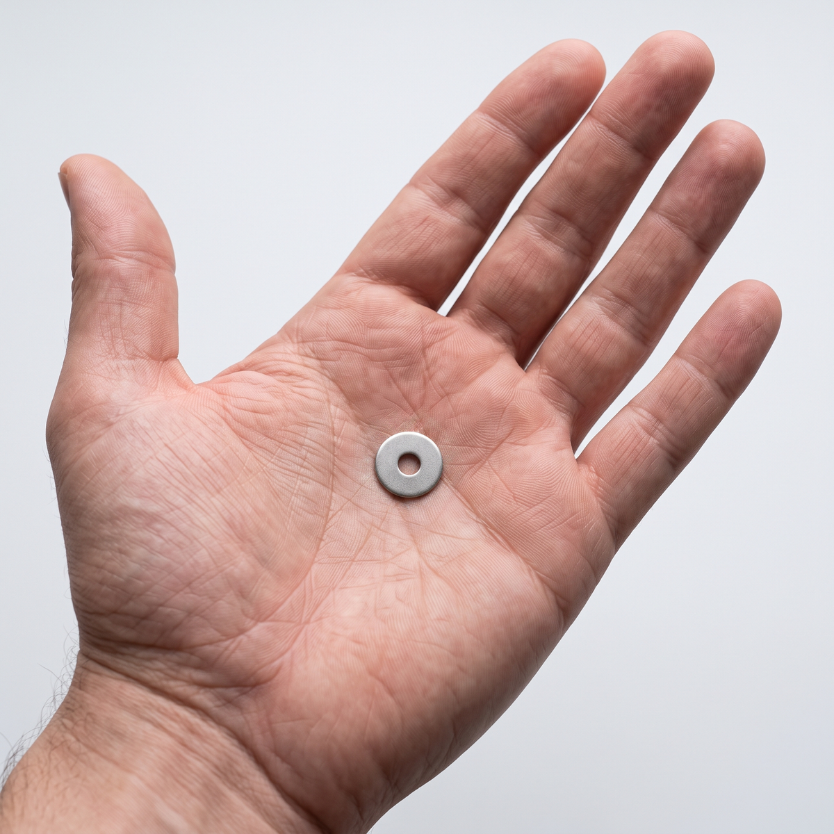 A2 Stainless Steel Penny Washers DIN 9021 - Large Flat Repair Washers, shown in hand for scale
