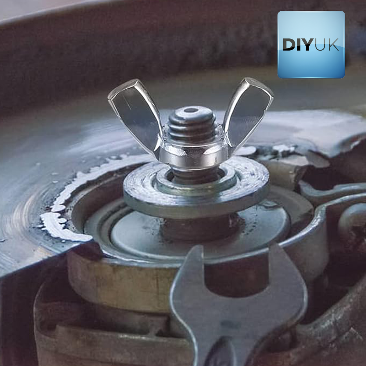 Wing nut with a washer on a threaded spindle, holding a disc