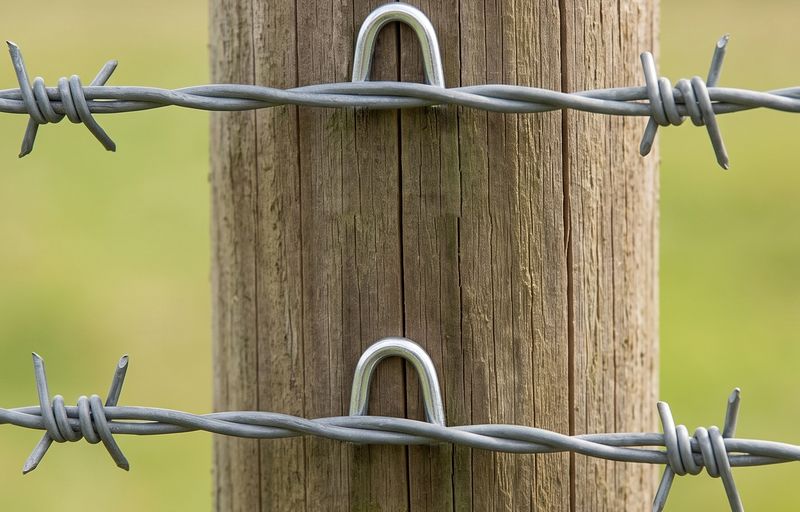 Barbed wire